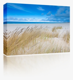 Wild Grass Sea Shore - Wireless Speaker