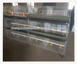 Ssd Poultry Farm Broiler Layer Baby Chicken Cages - Cage