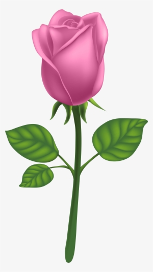 Purple Long Stem Rose Png