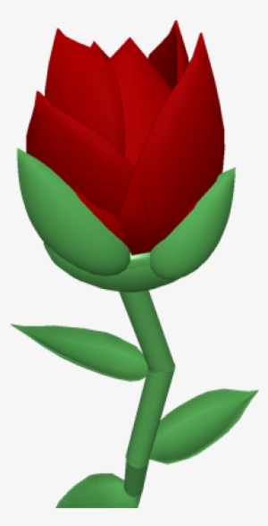 Summer's Last Rose - Tulip