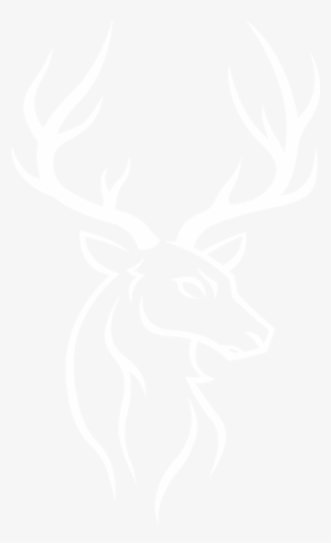 White Background Instagram Size