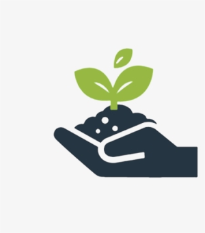 Business Growth Icon Regreen 2016 12 05t09 - Plant Growth Icon Png