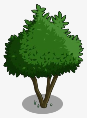 Avocado Tree 00-icon - Gem Fruit