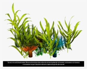 Sea Grass Clipart Underwate Plant - Under Water Plants Png