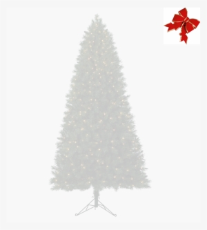 Tree Background - Oro Gold 24k Bio-brightening Dark Spot Solution - 0.5