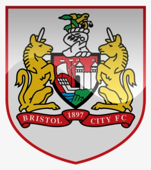 Bristol City Fc