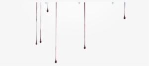 Rq Logo Rq Logo - Red Queen Book Transparent