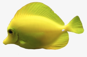 Source - Transparent-animals - Tumblr - Com - Portable Network Graphics