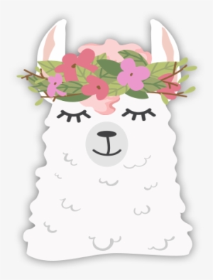 Acr143 - Vector Graphics