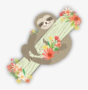 Zinnia