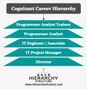 Organisational Structure Of Cognizant