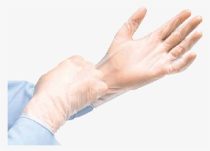 Cardinal Health Instagard Vinyl Exam Gloves - Cardinal Health Instagard Vinyl Exam Gloves, Small,