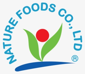 Founded On December 22, 2002 And Factory Practically - World Of Smiles Academy