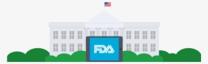Food And Drug Administration
