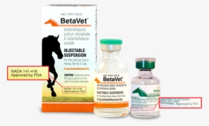 Adequan® Is The Only Product In Its Class Approved - Betamethasone Injection For Horses
