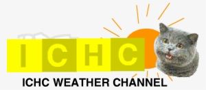 Ichc Weather Channel Logo - Happy Cat Plain Meme