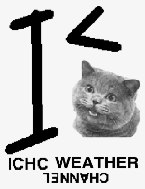 Ichc Weather Channel Logo Old - Happy Cat Plain Meme
