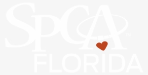 Here Are Spca Florida-approved Logos - You Found A Cat