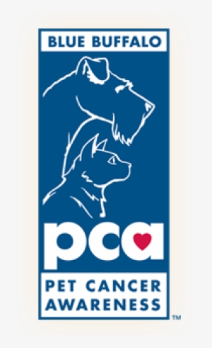 Petco Foundation And Blue Buffalo Foundation Surpass - Pet Cancer Awareness Month 2017