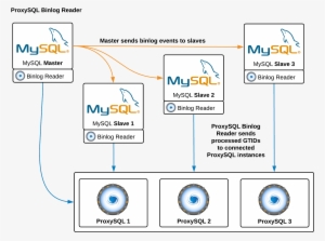 Mysql Self-study Training Infocentre