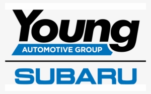 More Than 150 Dogs And Cats Were Adopted Out During - Genuine Subaru E551sal200 Bumper Underguard, Rear