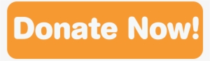 Donate Now Orange Button - Professional