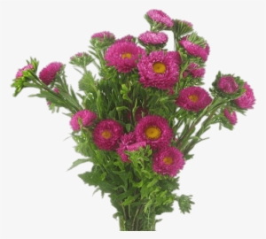 Aster Bouquet - Flower Bouquet