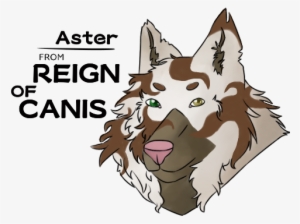 Aster From Reign Of Canis By Mästerpiece - Aster