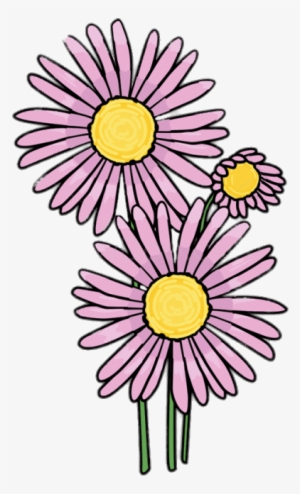 Pink Aster Clipart - Aptoide