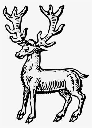Details, Png - Art