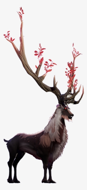 Stag - Elk