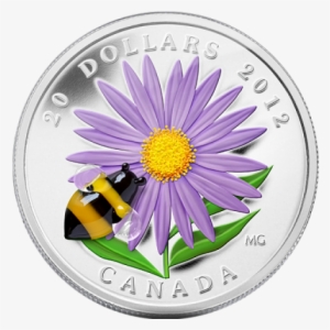 Aster With Venetian Glass Bumble Bee 2012 Proof Silver