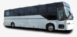47 Passenger Charter Bus - Bus