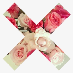 Cute Flowers Lol No Favim - Transparent Tumblr X