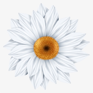 Daisy Png Tumblr Download - 雏菊 Png