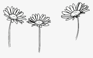 Drawing Outline Sunflowers Flower Tumblr - Flower Png