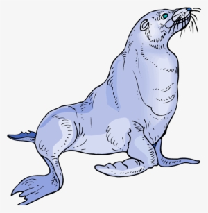 Sea Lion Clipart
