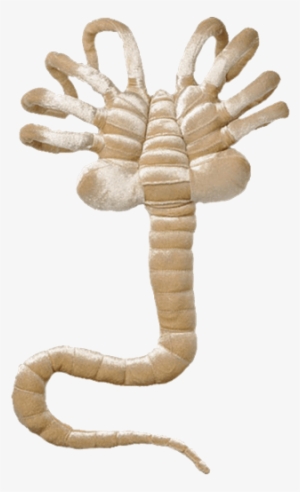 1 Of - Facehugger Plush