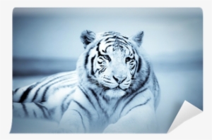 Sonstige Wanduhr Weißer Tiger Liegend Figur Raubtier