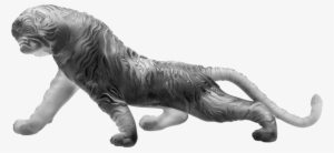 Tigre Du Bengale Magnum Gris 88 Exemplaires 03447-4