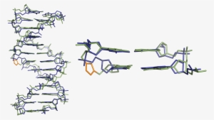 Comparison Of Three Dimensional Structures Of Triazole - Dna Three Dimensional Structure