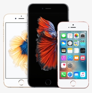 Iphone Express Replacement Service - Iphone Se Price In India 16gb