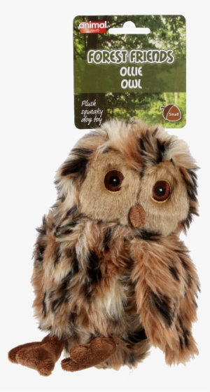 Animal Instincts Ollie Owl From The Forest Friends