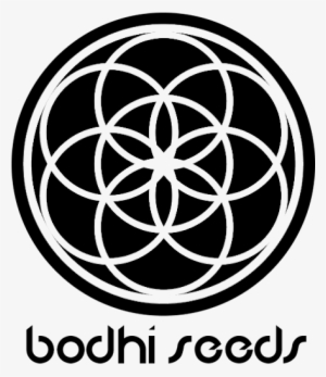 Bodhi Terpenado - Seed Of Life Jpeg