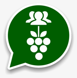 Facebook Live & About Us - Grape