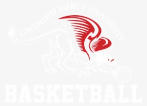 Gwynedd Mercy University Basketball - Mayfield Wildcats