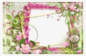 Molduras Com Fundo Colorido - Pink And Green Photo Frame