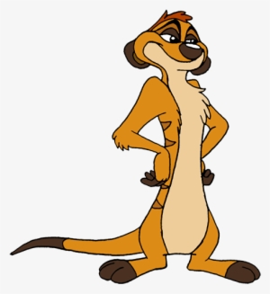 Timon - Meerkat Timon