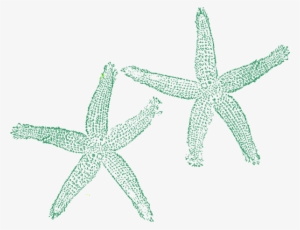 How To Set Use Green Starfish Icon Png - Private Listing For Tami 1 Pair Custom Bridal Flip