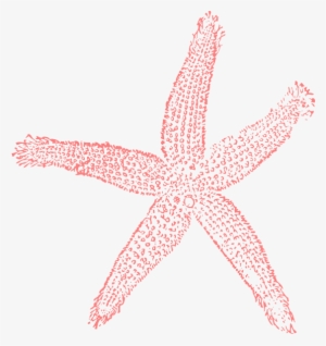 Small - Coral Starfish